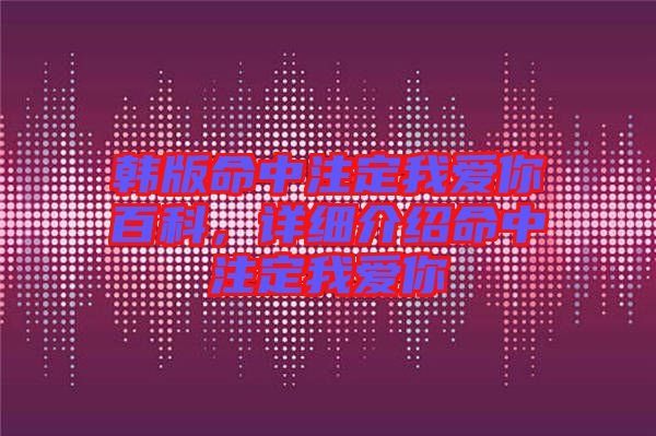 韓版命中注定我愛你百科,詳細(xì)介紹命中注定我愛你