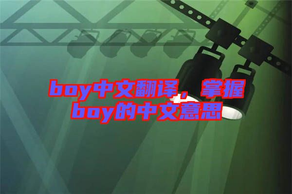 boy中文翻譯,掌握boy的中文意思