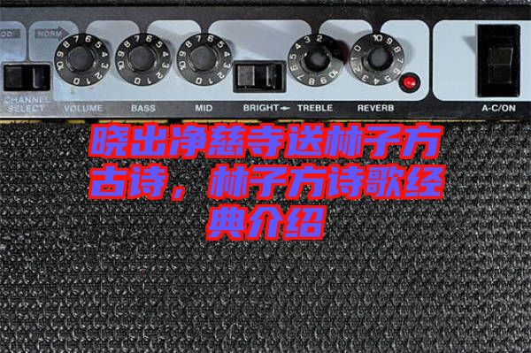 曉出凈慈寺送林子方古詩,林子方詩歌經典介紹