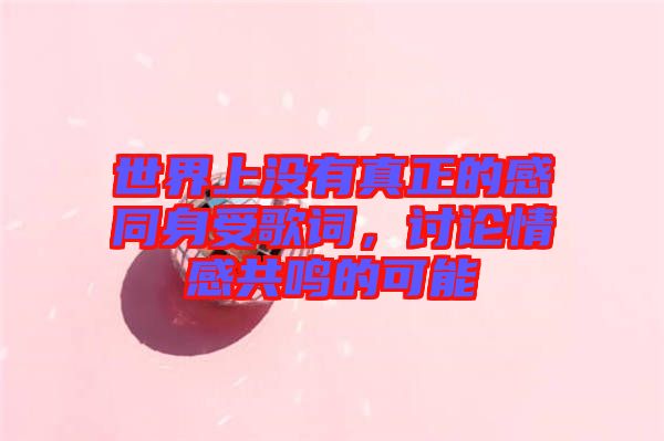世界上沒有真正的感同身受歌詞,討論情感共鳴的可能