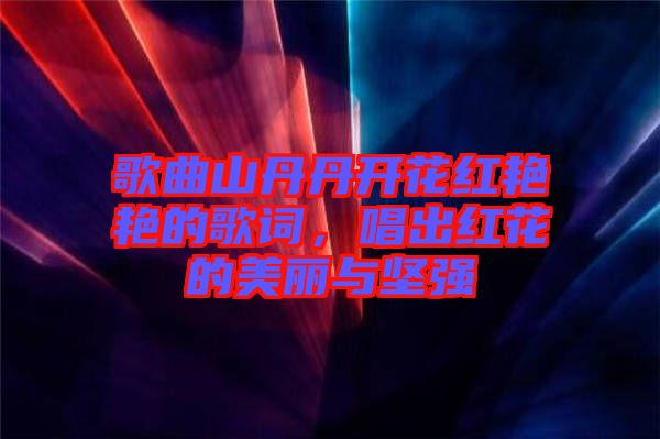 歌曲山丹丹開花紅艷艷的歌詞，唱出紅花的美麗與堅強