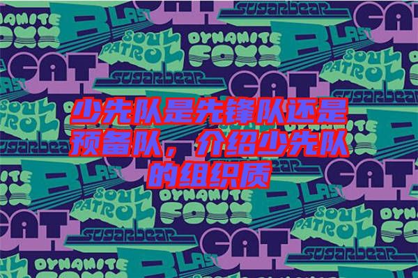 少先隊(duì)是先鋒隊(duì)還是預(yù)備隊(duì),介紹少先隊(duì)的組織質(zhì)