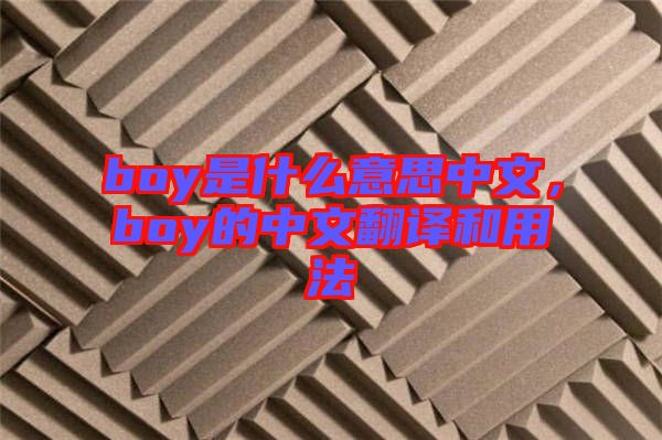 boy是什么意思中文,boy的中文翻譯和用法