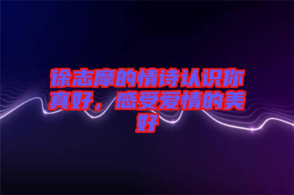 徐志摩的情詩認(rèn)識你真好,感受愛情的美好