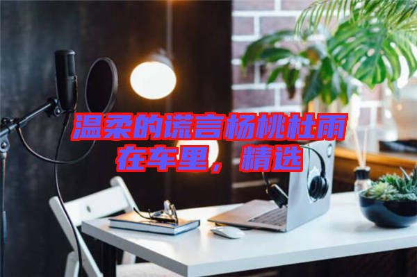 溫柔的謊言楊桃杜雨在車里,精選