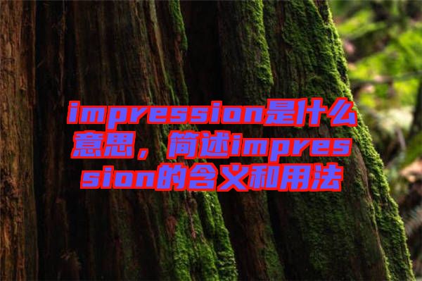 impression是什么意思,簡述impression的含義和用法