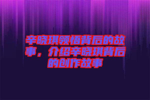 辛曉琪領悟背后的故事,介紹辛曉琪背后的創作故事