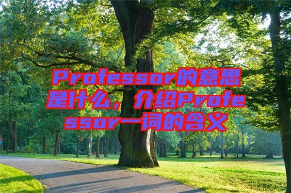 Professor的意思是什么，介紹Professor一詞的含義