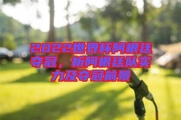 2022世界杯阿根廷奪冠,析阿根廷隊實力及奪冠前景