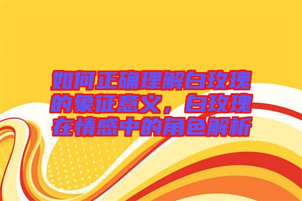 如何正確理解白玫瑰的象征意義,白玫瑰在情感中的角色解析