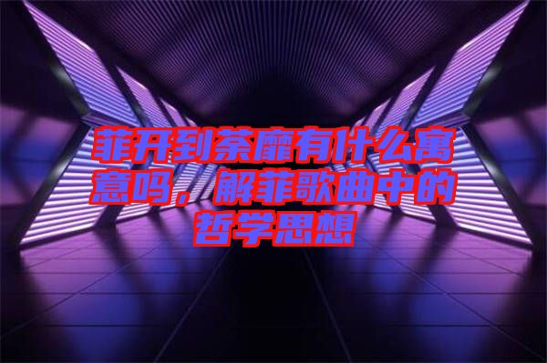 菲開到荼靡有什么寓意嗎，解菲歌曲中的哲學思想