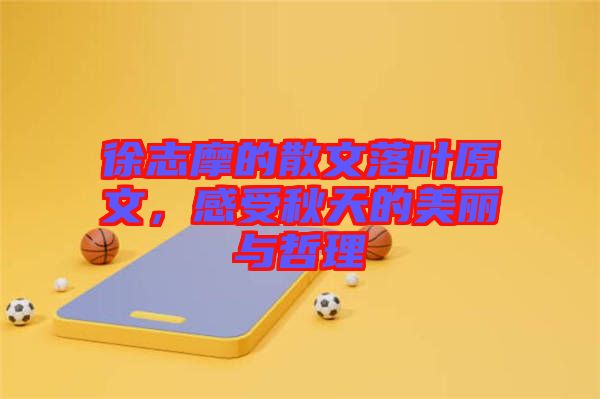 徐志摩的散文落葉原文,感受秋天的美麗與哲理