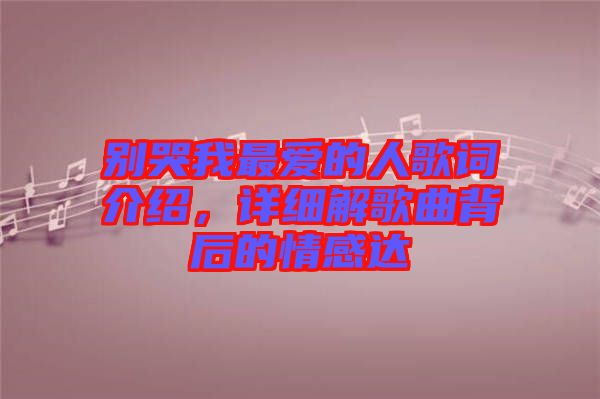 別哭我最愛的人歌詞介紹,詳細(xì)解歌曲背后的情感達(dá)