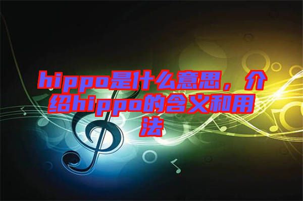 hippo是什么意思,介紹hippo的含義和用法
