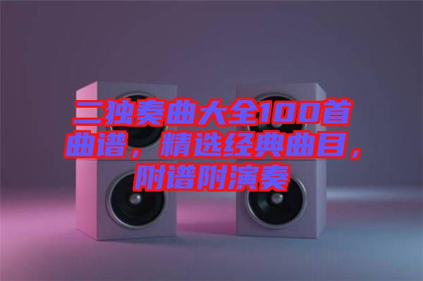 二獨奏曲大全100首曲譜，精選經典曲目，附譜附演奏