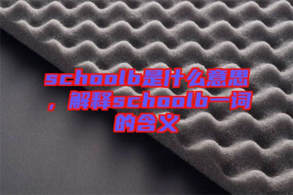 schoolb是什么意思,解釋schoolb一詞的含義