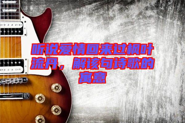 聽說愛情回來過楓葉流丹,解該句詩歌的寓意