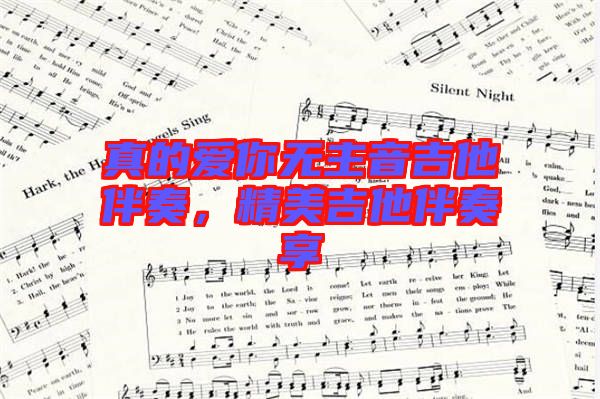 真的愛你無主音吉他伴奏，精美吉他伴奏享