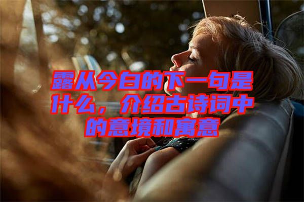 露從今白的下一句是什么,介紹古詩詞中的意境和寓意