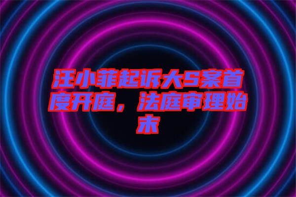 汪小菲起訴大S案首度開庭，法庭審理始末