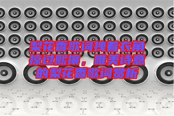 梨花香歌詞拽著衣角掠過(guò)熙攘，唯美詩(shī)意的梨花香歌詞賞析