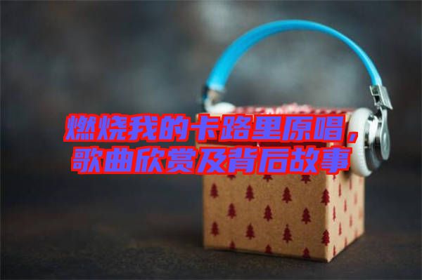 燃燒我的卡路里原唱，歌曲欣賞及背后故事