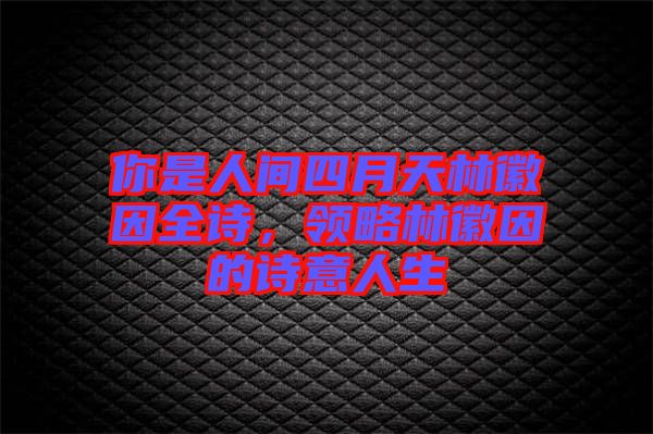 你是人間四月天林徽因全詩,領略林徽因的詩意人生
