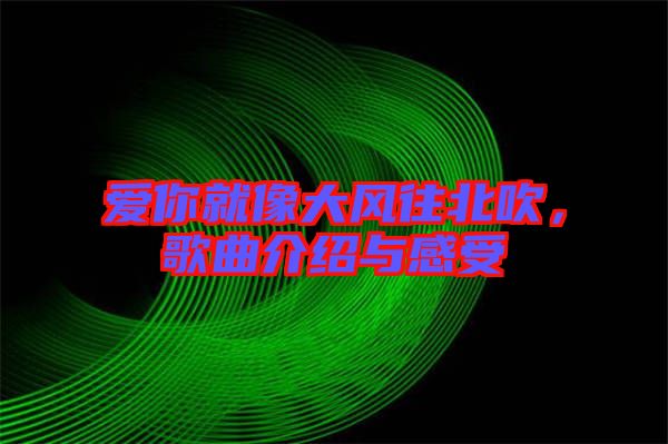 愛你就像大風往北吹,歌曲介紹與感受