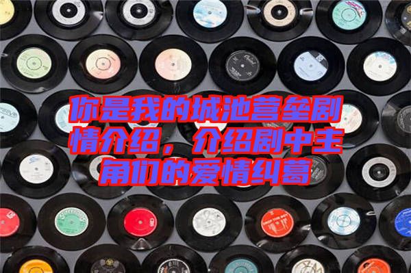 你是我的城池營壘劇情介紹，介紹劇中主角們的愛情糾葛