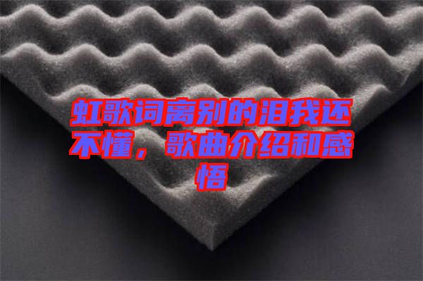 虹歌詞離別的淚我還不懂，歌曲介紹和感悟