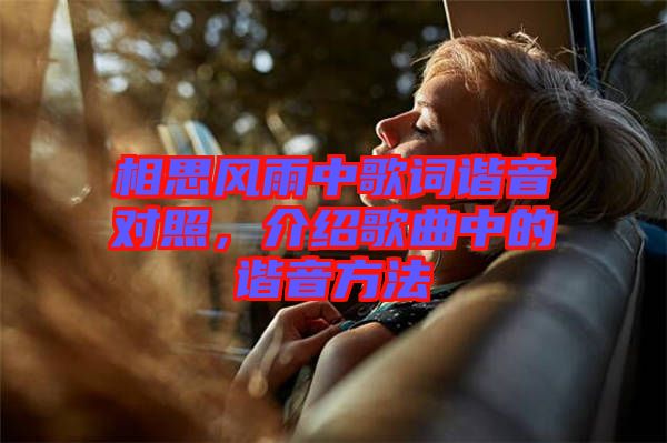 相思風雨中歌詞諧音對照，介紹歌曲中的諧音方法