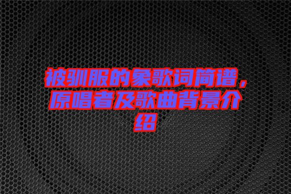 被馴服的象歌詞簡譜,原唱者及歌曲背景介紹