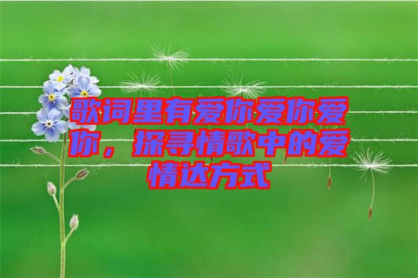 歌詞里有愛你愛你愛你,探尋情歌中的愛情達方式