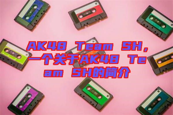 AK48 Team SH,一個關于AK48 Team SH的簡介