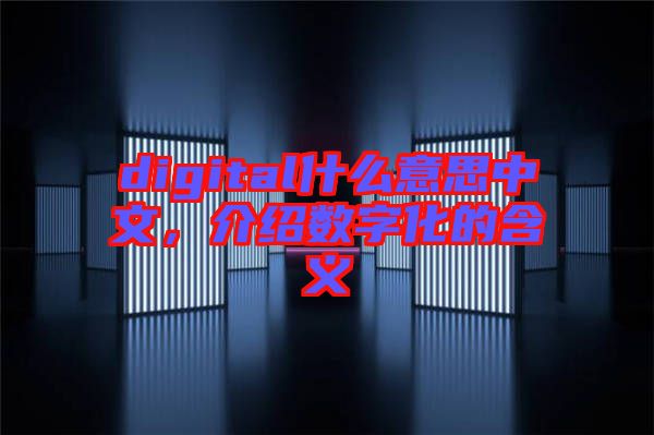 digital什么意思中文,介紹數字化的含義