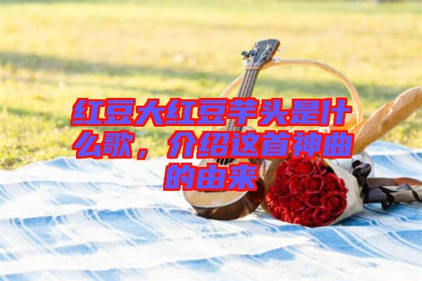 紅豆大紅豆芋頭是什么歌,介紹這首神曲的由來