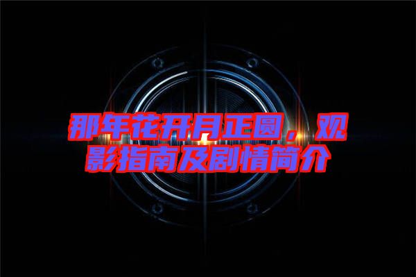 那年花開月正圓,觀影指南及劇情簡(jiǎn)介