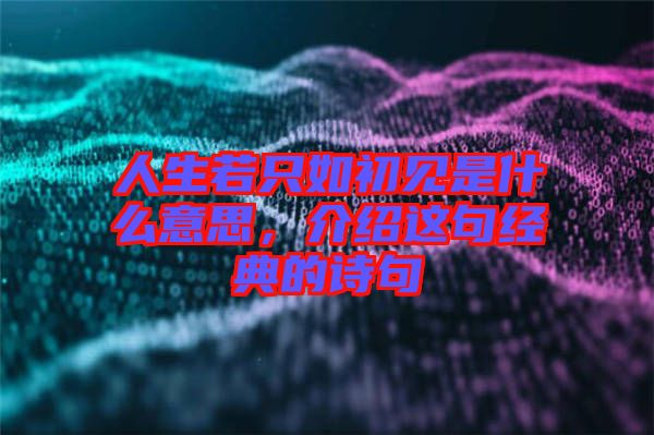 人生若只如初見是什么意思,介紹這句經典的詩句