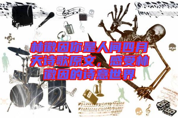 林徽因你是人間四月天詩歌原文,感受林徽因的詩意世界