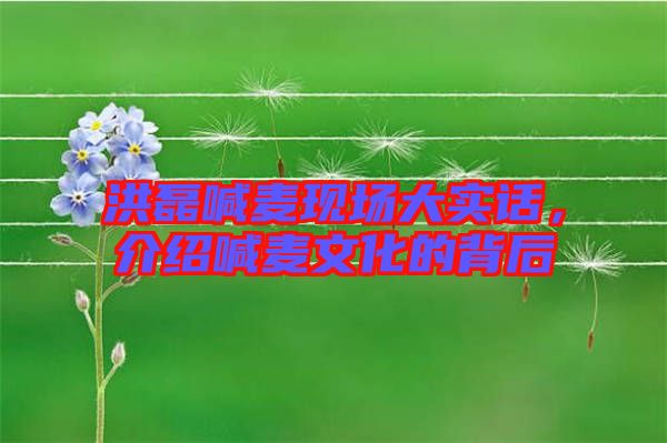 洪磊喊麥現場大實話，介紹喊麥文化的背后