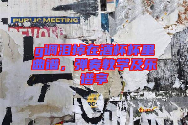 g調(diào)淚掉在酒杯杯里曲譜,彈奏教學(xué)及樂譜享