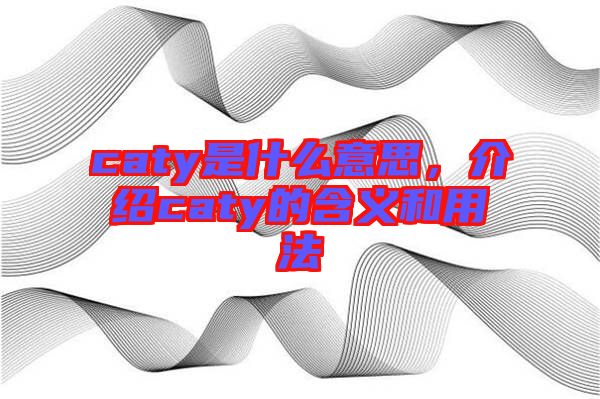 caty是什么意思,介紹caty的含義和用法