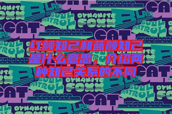 紅顏知己和藍(lán)顏知己是什么意思,介紹兩種知己關(guān)系的不同