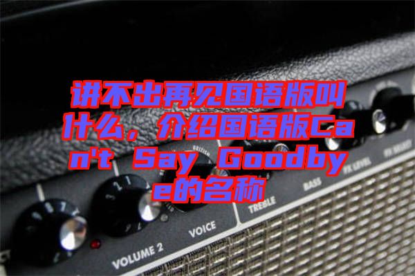 講不出再見國語版叫什么,介紹國語版Can't Say Goodbye的名稱
