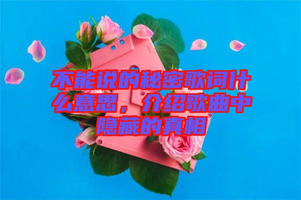 不能說的秘密歌詞什么意思，介紹歌曲中隱藏的真相