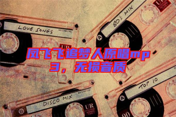 鳳飛飛追夢人原唱mp3，無損音質(zhì)