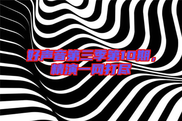 好聲音第三季第10期,精演一網打盡