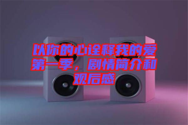 以你的心詮釋我的愛第一季,劇情簡介和觀后感