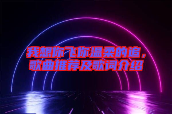 我想你飛你溫柔的追,歌曲推薦及歌詞介紹