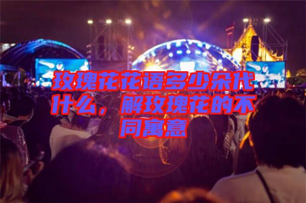 玫瑰花花語多少朵代什么,解玫瑰花的不同寓意